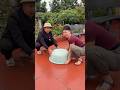 Úp Được Con Rắn Hổ Mang Chúa Khổng Lồ #shortvideo