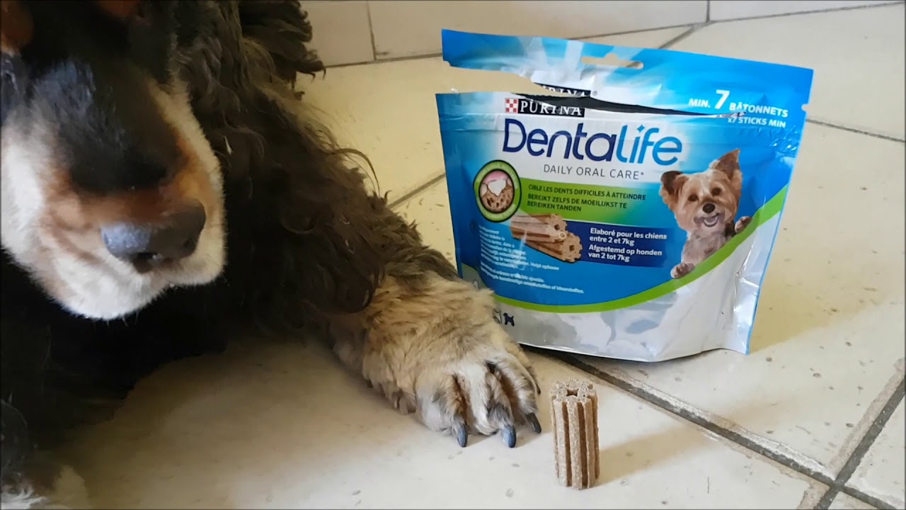 purina dentalife extra mini