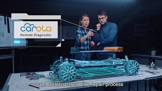 Carota Remote Diagnostic (EN)