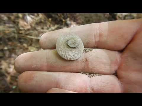 Очередгой кошель серебра