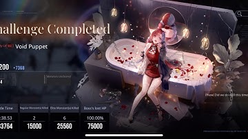 Path to Nowhere Dark Zone Season 4 - Boss 2: Void Puppet Final Week - Score: 249,324 Last Stand