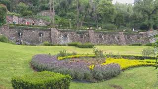 20190819 El jardín en La Basílica de Guadalupe