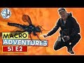 Macro Adventures | S1 E2