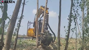 Kesla Harvester Head Processing Eucalyptus trees to logs for paper mills in India-Nilgiri with bark