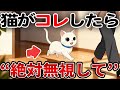 知らないとヤバい！猫の無視すべき行動【猫雑学】