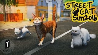 Street Cat Sim 2016 - Android Gameplay HD screenshot 1