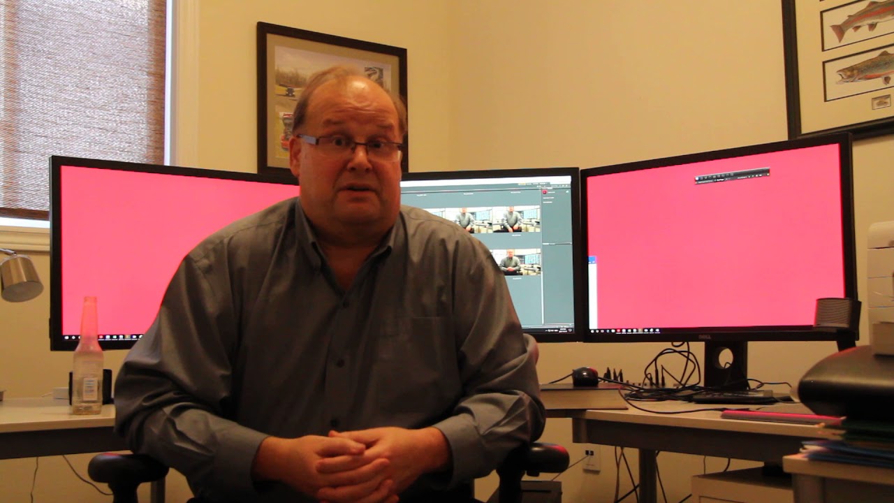 Introduction to the Independent Investor