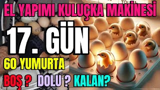 El Yapımı Kuluçka Makinesi 2025 17. Gün 3 Boş Yumurtayı Attım Civciv Sesleri Yaklaşıyor