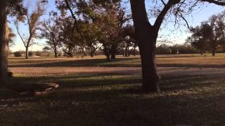 FPV racing at Apache Pass