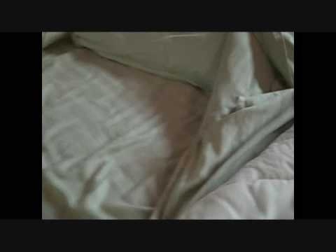 subscribers of t series Master Bedroom - Under the Covers
