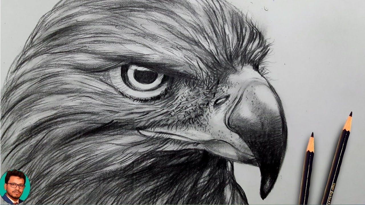 how to draw an eagle eye