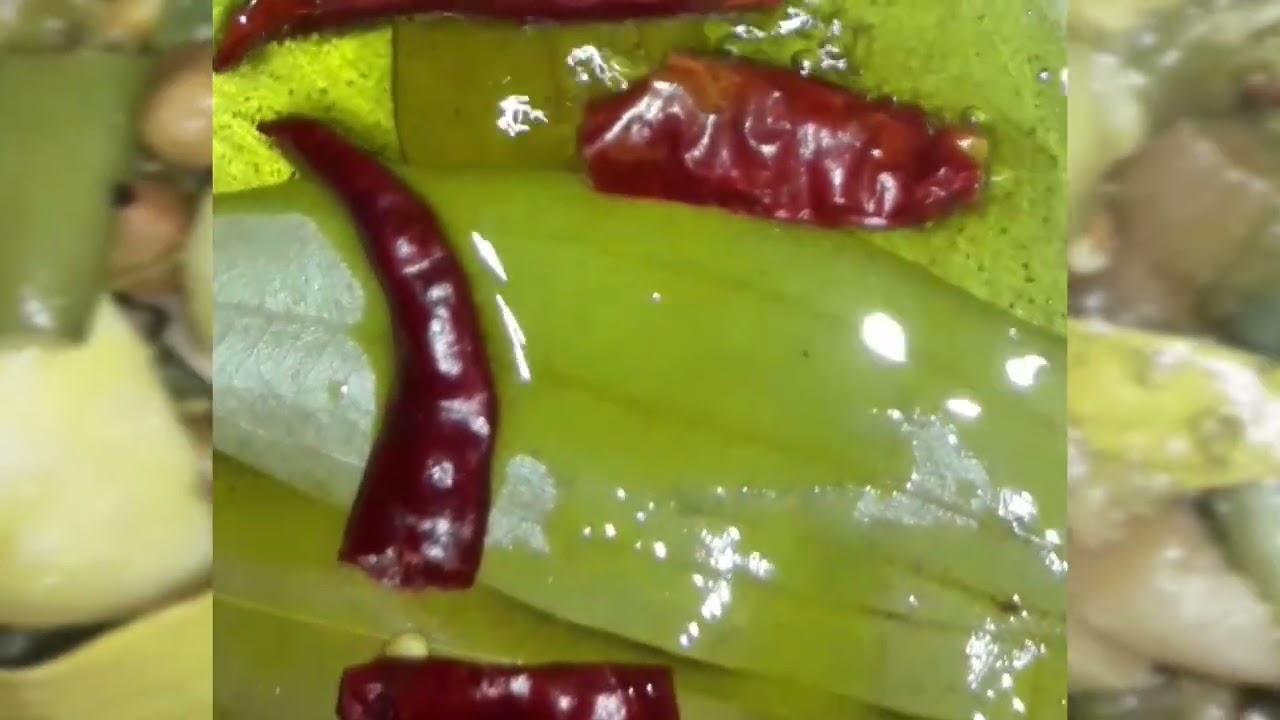 নিরামিষ কচু শাক  রেসিপি// AKBEE KHELE BAR BAR RANNA KRBEN//