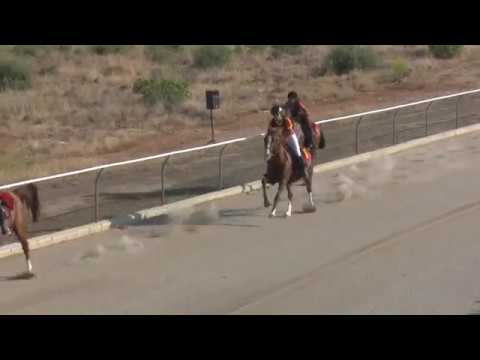 Vídeo: Si T’agraden Les Curses De Cavalls, També T’encantaran Aquestes Carreres Estranyes