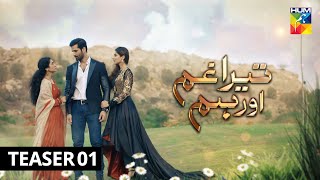 Tera Ghum Aur Hum Teaser 1 Hum Tv Drama