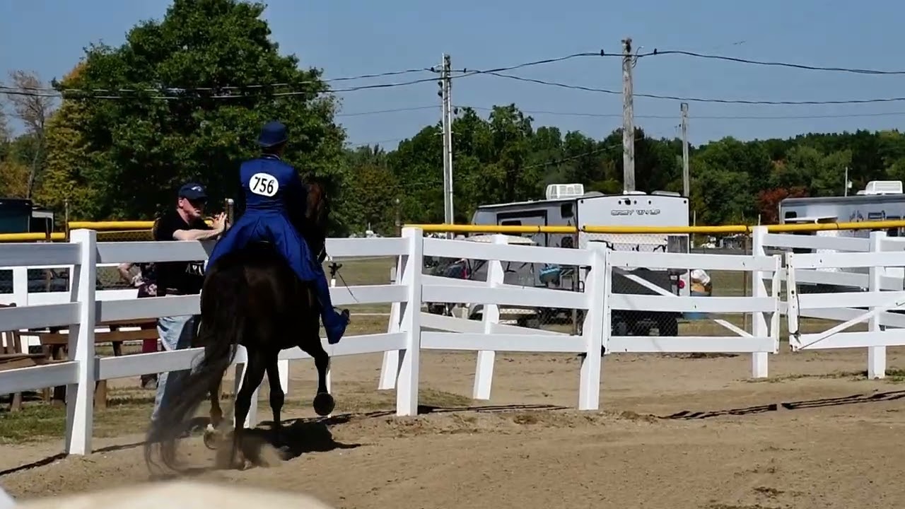Nic and Oliver in Class 185a - ASB 5-Gaited Country Pleasure Championship at Randolph Fall Classic