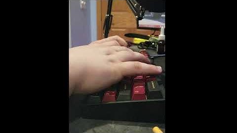 Tofu Holy Panda Typing Test