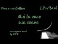 Qui la voce sua soave(벨리니-여기에 그의 다정한 목소리가)반주 -V.Bellini