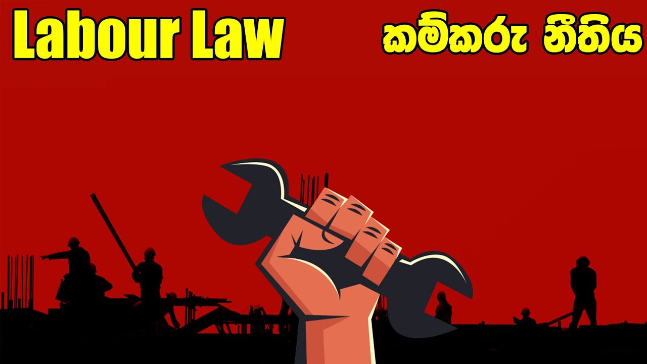 HR SINHALA | INTRODUCTION | LABOUR LAW | HR - සිංහලෙන්