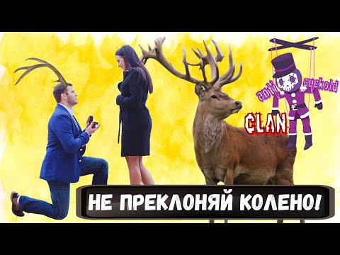 Стоит ли преклонять колено делая предложение руки и сердца [АнтиКуколд Клан]