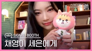 채영이 세은에게 | 스테이씨-그널💘 시즌3