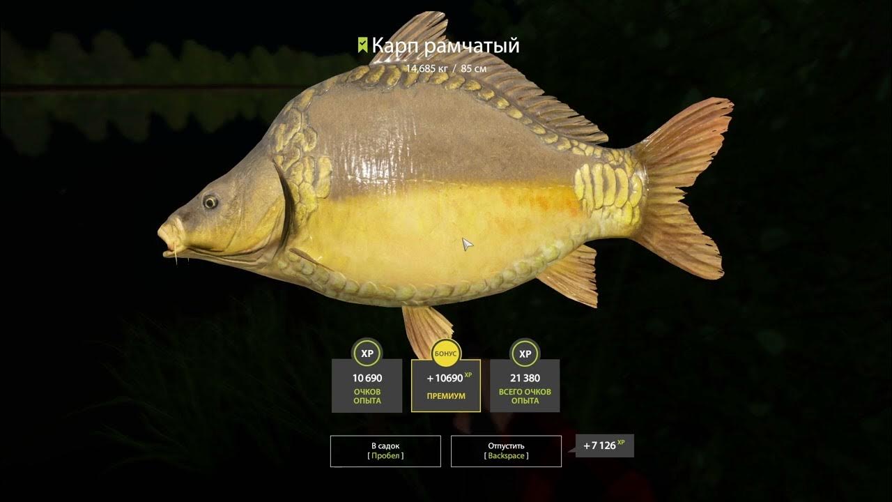 Русская Рыбалка 4 ,Ловим Новогодние подарки, оз. Комариное. - YouTube