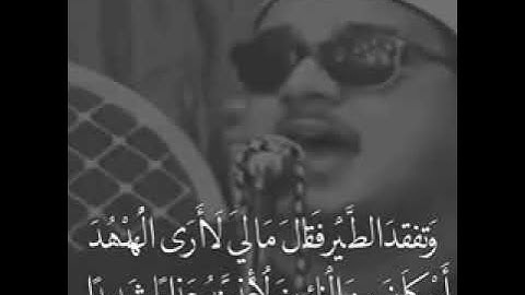 تلاوة للشيخ ممدوح عامر( أطول نفس ) YouTube