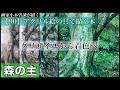 【90】アクリル絵の具で描く木(グリザイユから着色へ)