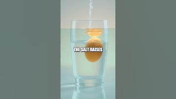 Density Detective Egg Challenge