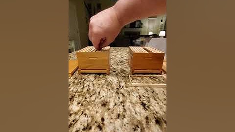 Pagden Method of artificial swarming