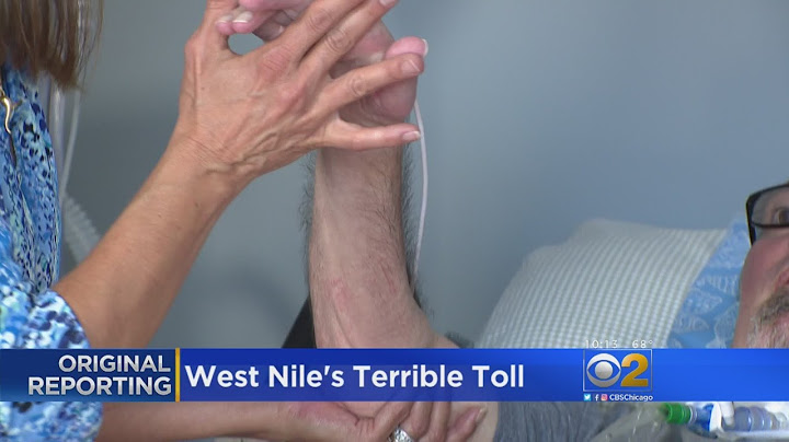 One Mosquito Bite -- And Then Disaster