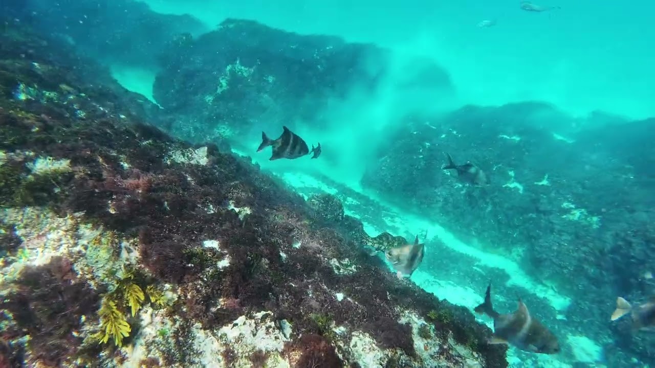 Snorkelling Salmon Beach Esperance