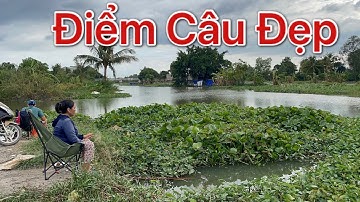 ✅ Chia Sẻ Điểm Câu Cá Tự Nhiên Đủ Các Loại Cá🐟 