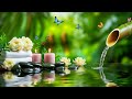 Beautiful Relaxing Music 🌿 Nature Sounds, Meditation Music, Spa Music, Calming Piano, Bamboo