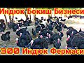 ИНДЮК КУРКА БОКИШ БИЗНЕСИ КАТТА ФЕРМАДАН СИЗ КУТГАН ВИДЕО