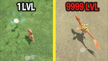 MAX LEVEL in My Dino Evolution 3D Game