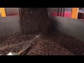 Coffee roasting in the bay beans coffee factory  mesmerising asmr