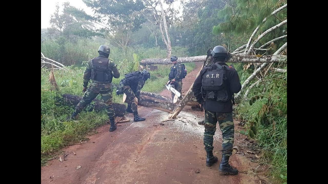 ambazonian flag Breaking News! Foreign Soldier, Along Side with the BIR of Cameroon, Watch an See..