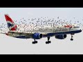 Birds Refuse To Leave The Plane , When Pilots Realize They Instantly Land