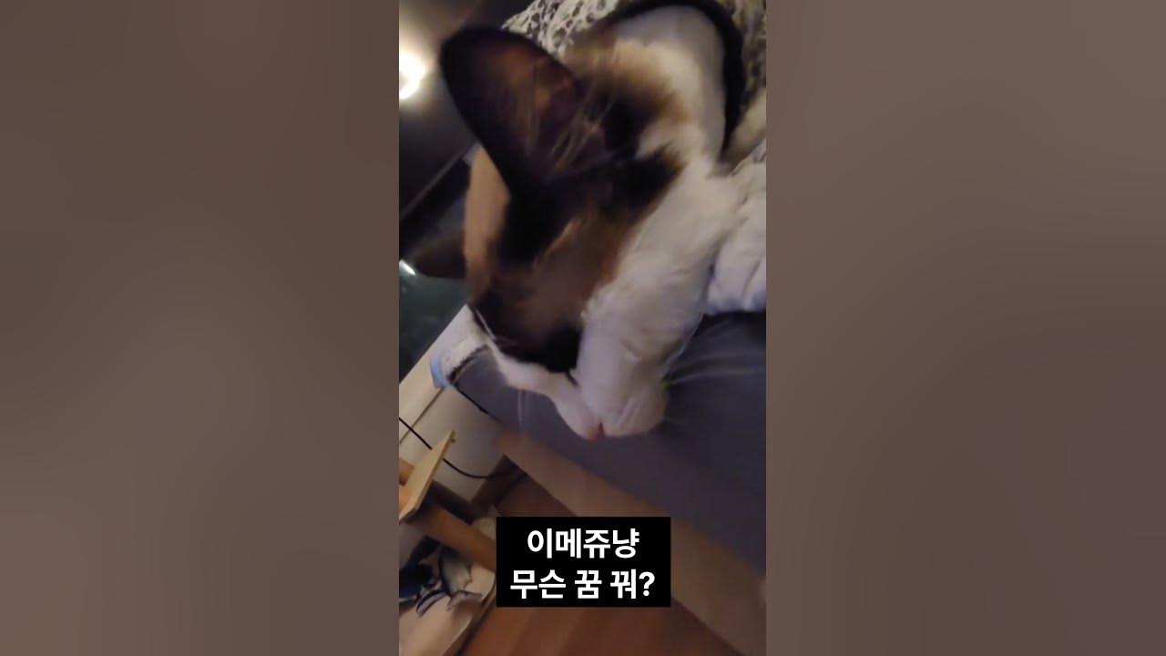 이메쥬 무슨 꿈 꿔? - Youtube