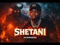 Shetani Harmonize Official Music Video