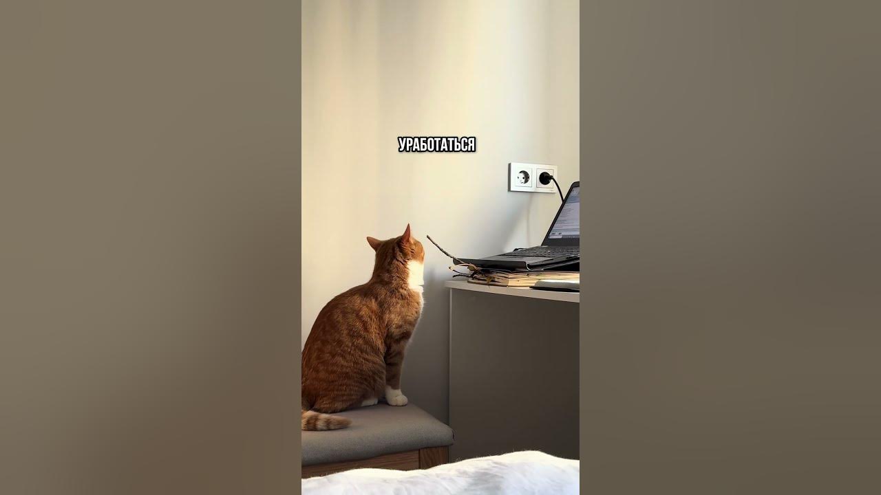 Улыбаемся и пашем😹 - YouTube