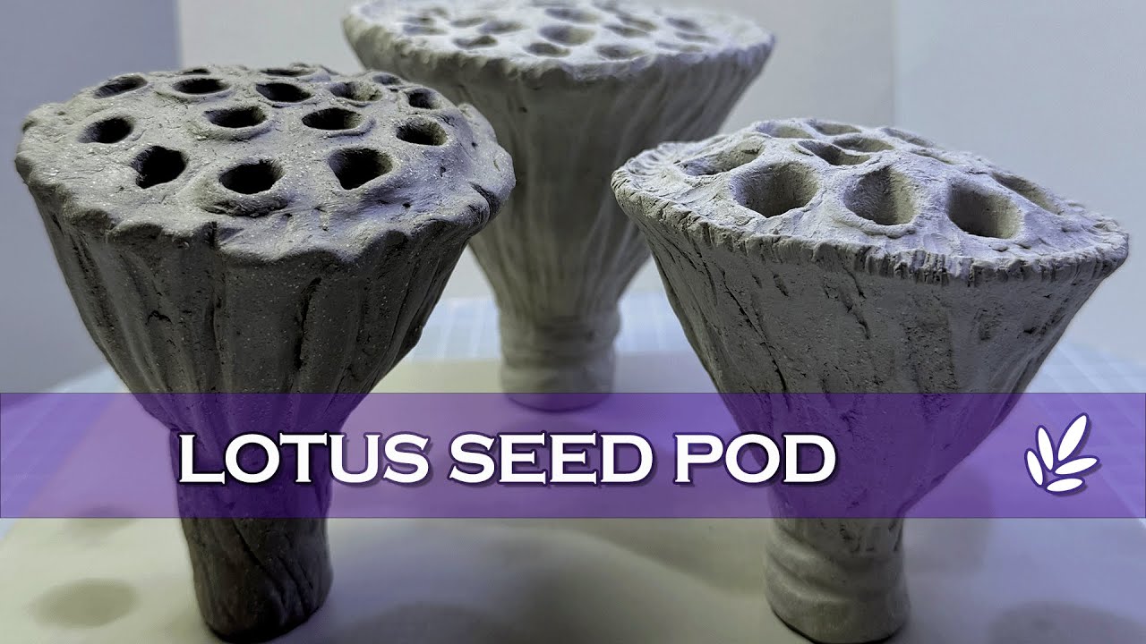 Lotus Seed Pod | Raku Clay Sculpting | Hand Build | Home Clay Project