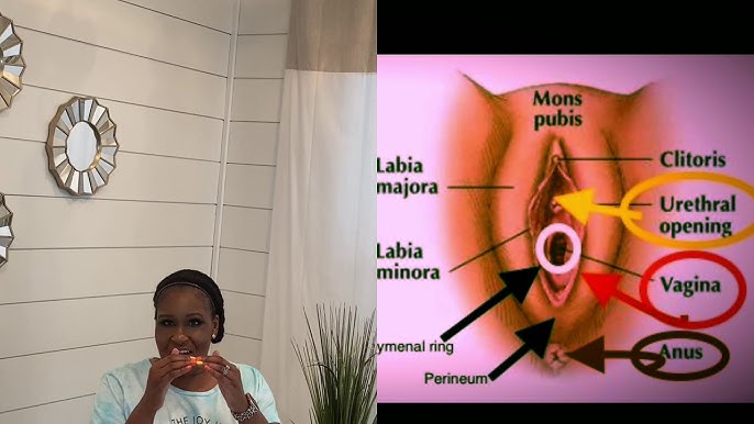 Tort qora yigit bir Ava Devine sikish, va ular barcha teshiklari, uning eshagini, shu jumladan, uni Yashirin kamera kelinni sikish