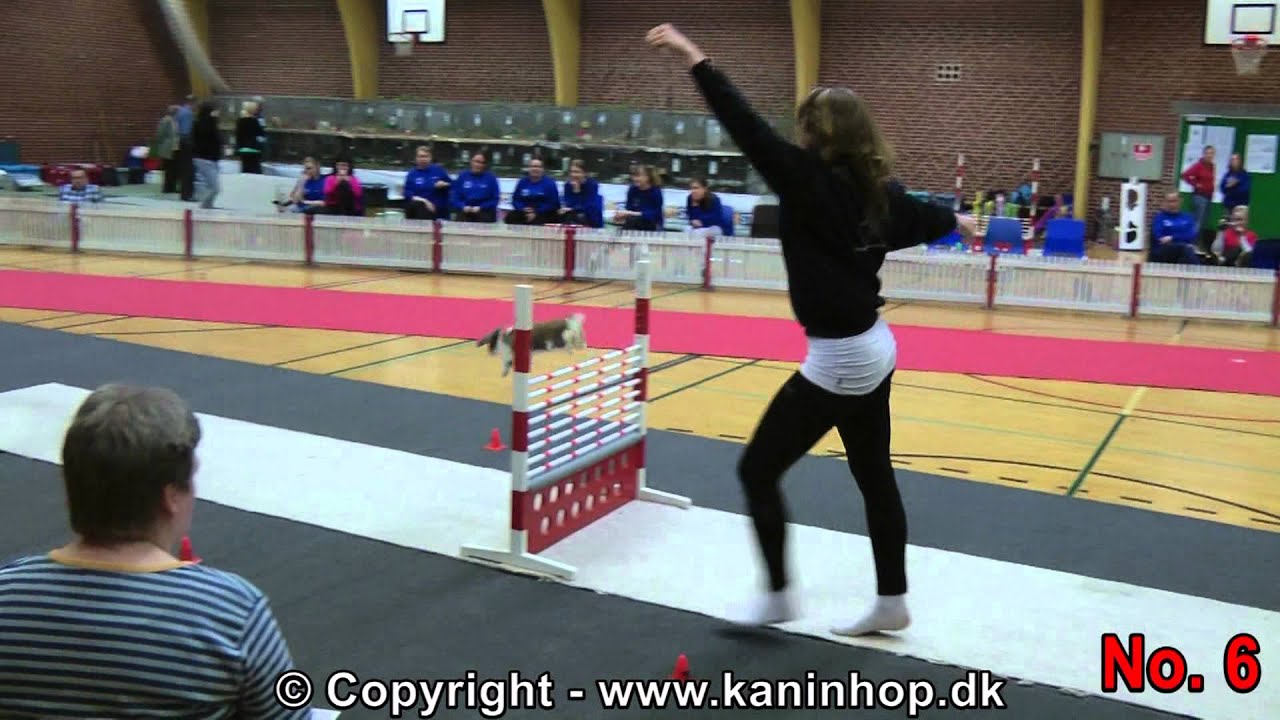 Danish Championships 2012 in Rabbit Hopping - High Jump - Top 10
