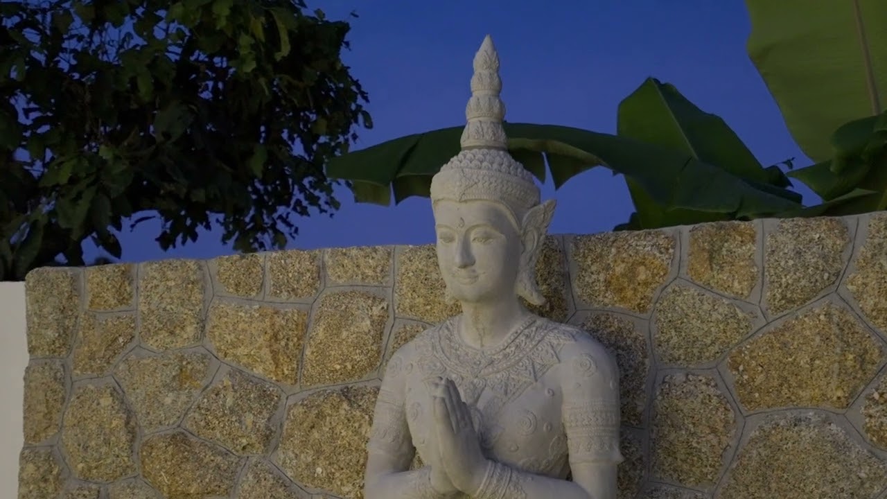 Jungle View 3Bedroom Private Pool Villa