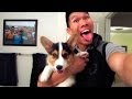 LET ME TAKE A SELFIE - Life After College: Ep. 334