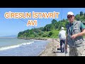 Giresun İstavrit Avı !!! Sahil doldu taştı !!! İstavrit Avı !!!