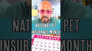 Do you have pet insurance? #cats #insurance