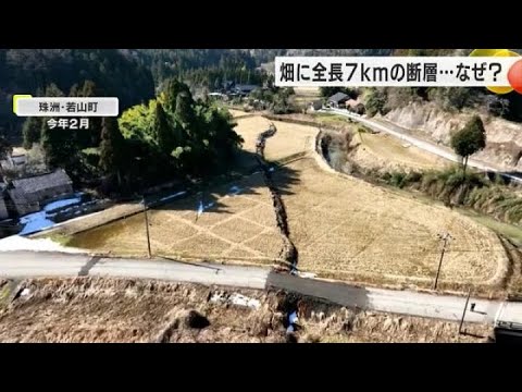 専門家も「不思議」微弱な地震すら観測されずに現れた“高さ最大約2.2mの断層” 金沢大学等が調査開始 (2024年8月19日)