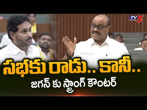 Minister Atchem Naidu Strong Counter to YS Jagan | AP Political News | TV5 News - TV5NEWS